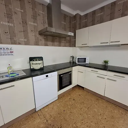 Apartment Große Voll Ausgestattete Mit 12 Betten, Wohnzimmer, Großer Küche, Parkplatz Und Garten In Leipzig-gohlis-süd *