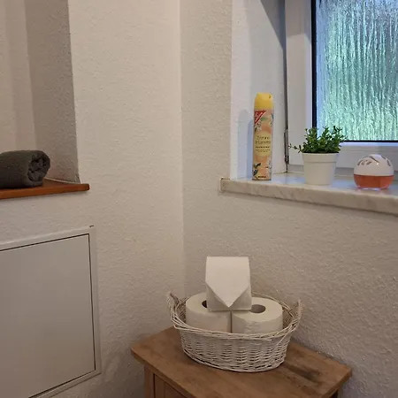 Apartment Große Voll Ausgestattete Mit 12 Betten, Wohnzimmer, Großer Küche, Parkplatz Und Garten In Leipzig-gohlis-süd *